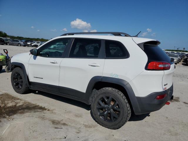 1C4PJMBS3EW255666 - 2014 JEEP CHEROKEE TRAILHAWK Ağ foto 2