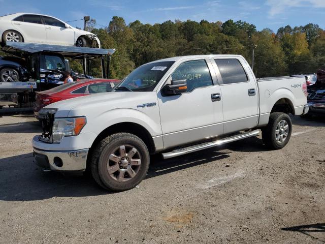 2013 FORD F150 SUPERCREW, 