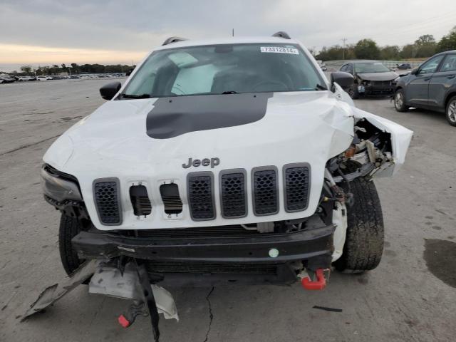 1C4PJMBNXKD130939 - 2019 JEEP CHEROKEE TRAILHAWK Ağ foto 5
