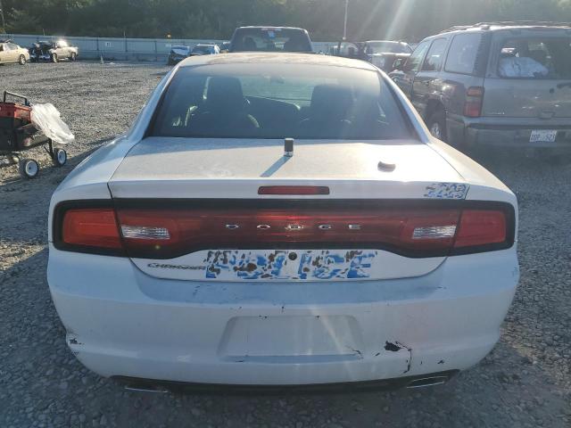 2C3CDXAGXDH608717 - 2013 DODGE CHARGER POLICE WHITE photo 6