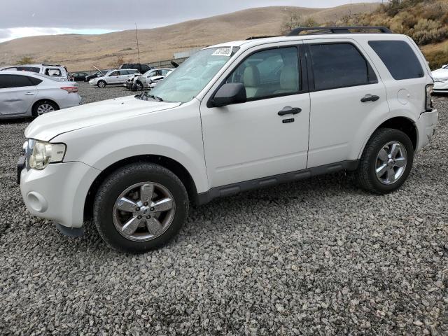 2010 FORD ESCAPE XLT, 