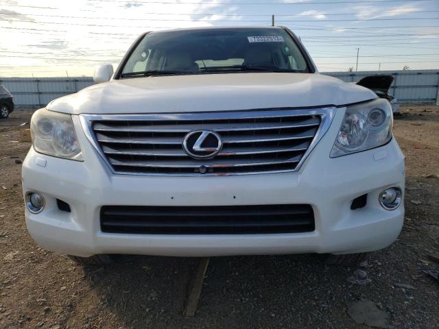 JTJHY7AX6A4038176 - 2010 LEXUS LX 570 WHITE photo 5