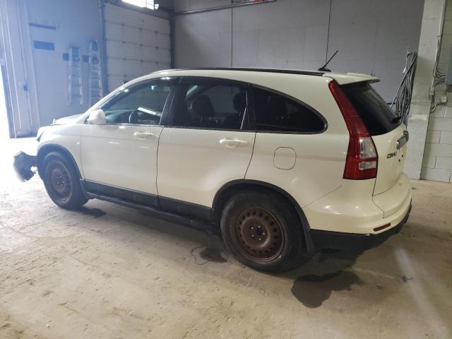 5J6RE4H75AL802569 - 2010 HONDA CR-V EXL WHITE photo 2