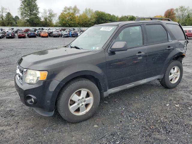 2011 FORD ESCAPE XLT, 