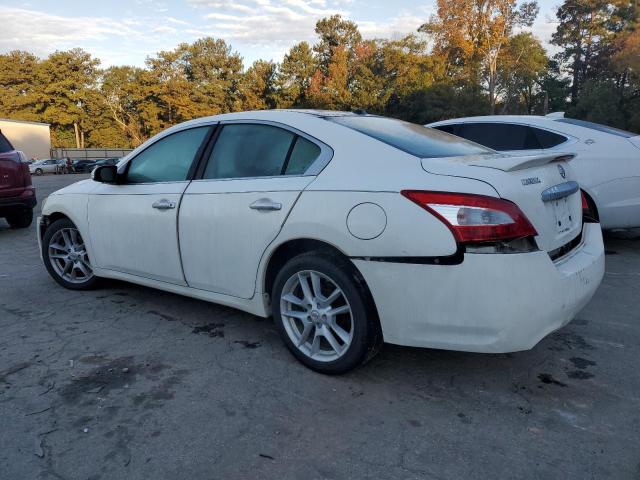 1N4AA5AP8BC813376 - 2011 NISSAN MAXIMA S WHITE photo 2