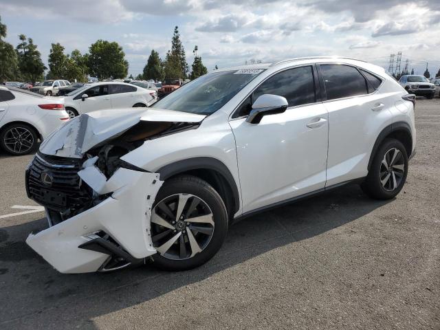 JTJBJRBZ1J2087481 - 2018 LEXUS NX 300H WHITE photo 1