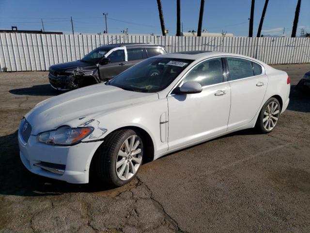 SAJWA0GB7BLS07339 - 2011 JAGUAR XF PREMIUM WHITE photo 1