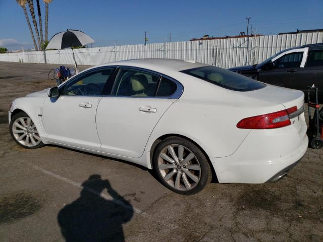 SAJWA0GB7BLS07339 - 2011 JAGUAR XF PREMIUM WHITE photo 2