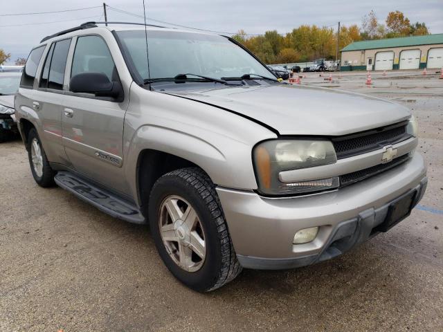 1GNDT13S922260374 - 2002 CHEVROLET TRAILBLAZE BEIGE photo 4