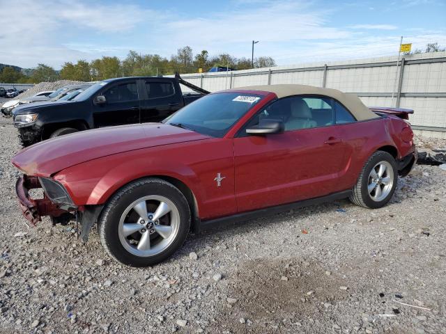 1ZVHT84N685122520 - 2008 FORD MUSTANG RED photo 1