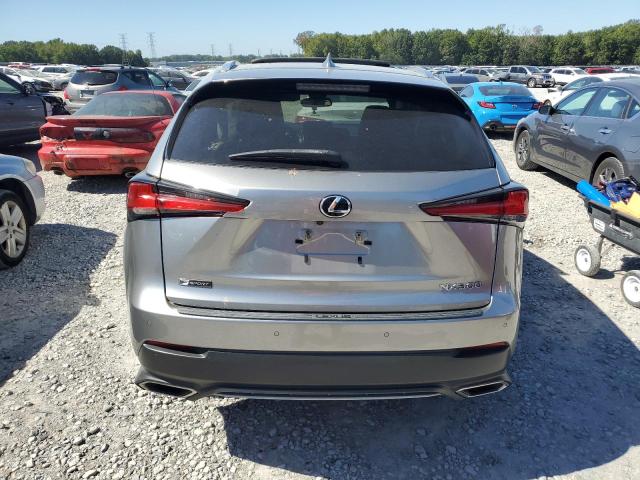 JTJSARBZ2M2191367 - 2021 LEXUS NX 300 BASE ვერცხლისფერი ფოტო 6