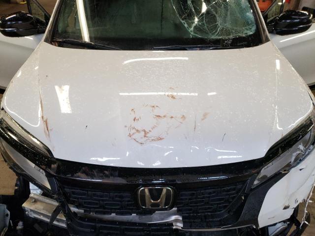5FNYF8H01KB005975 - 2019 HONDA PASSPORT ELITE 白色 照片 12