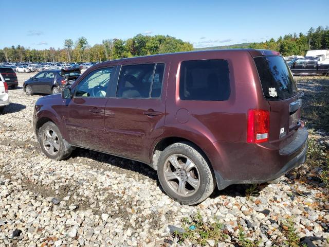 5FNYF4H55DB021698 - 2013 HONDA PILOT EXL BURGUNDY photo 2