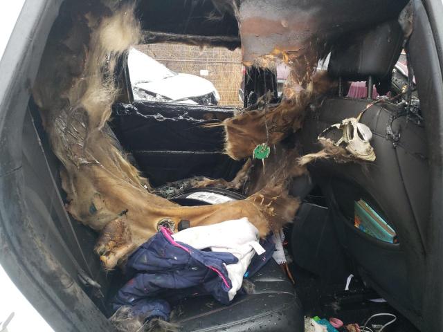 1C4PJMBX5LD572367 - 2020 JEEP CHEROKEE TRAILHAWK 白色 照片 11