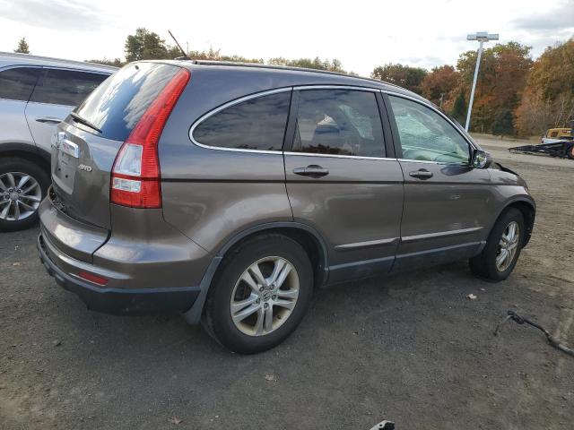 5J6RE4H72AL010945 - 2010 HONDA CR-V EXL GRAY photo 3