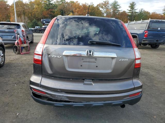 5J6RE4H72AL010945 - 2010 HONDA CR-V EXL GRAY photo 6