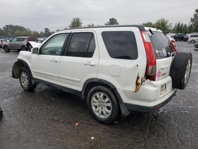 JHLRD78936C037447 - 2006 HONDA CR-V SE WHITE photo 2