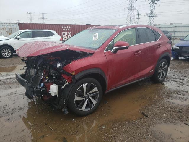 JTJGJRDZ7L5010201 - 2020 LEXUS NX 300H RED photo 1