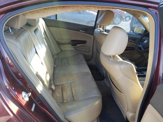 1HGCP26838A101669 - 2008 HONDA ACCORD EXL BURGUNDY photo 10