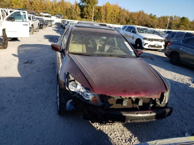 1HGCP26838A101669 - 2008 HONDA ACCORD EXL BURGUNDY photo 5