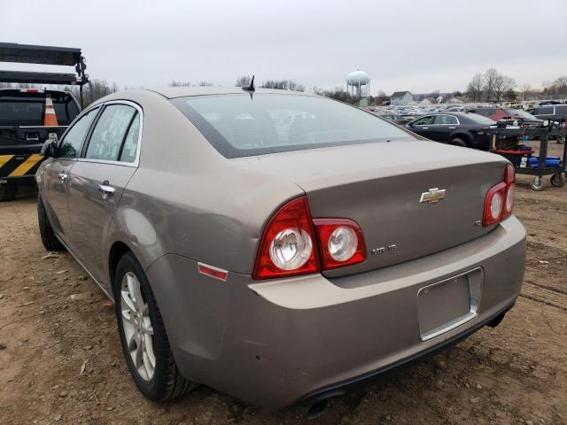 1G1ZK57718F205524 - 2008 CHEVROLET MALIBU LTZ ოქროსფერი ფოტო 2