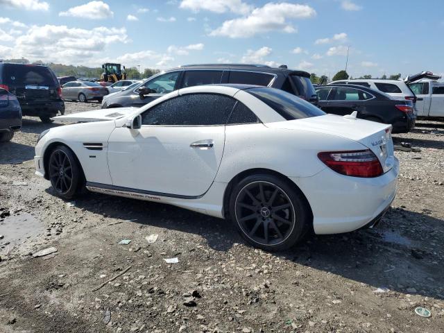 WDDPK4HA9FF108769 - 2015 MERCEDES-BENZ SLK 250 WHITE photo 2