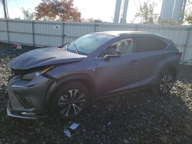 JTJSARDZ7M2239197 - 2021 LEXUS NX 300 BASE 蓝色 照片 1