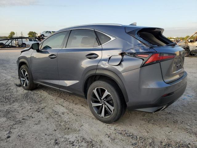 JTJGARDZ9M2236484 - 2021 LEXUS NX 300 BASE Boz foto 2