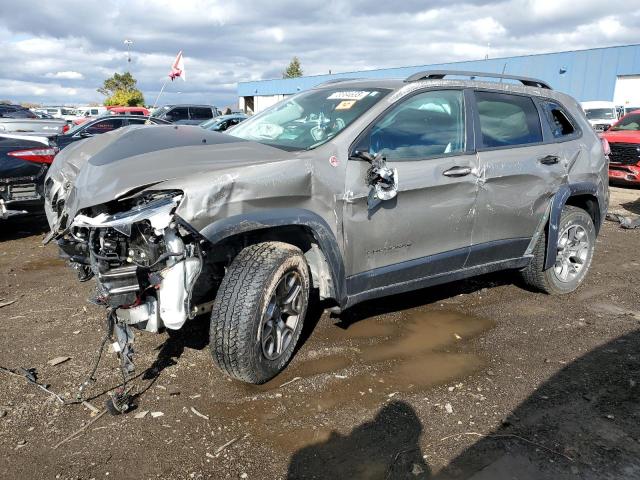 1C4PJMBX4LD621655 - 2020 JEEP CHEROKEE TRAILHAWK BROWN photo 1