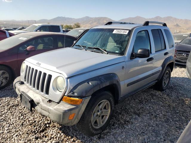 1J4GL38K65W543185 - 2005 JEEP LIBERTY RENEGADE 银色 照片 1