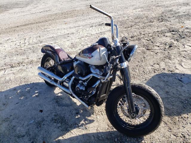 1HD1YDJ19MB068110 - 2021 HARLEY-DAVIDSON FLS SOFTAI 红色 照片 1