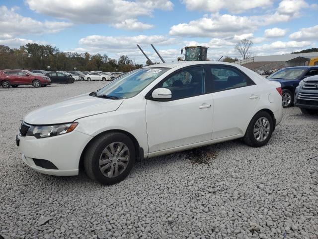 KNAFU4A28D5647550 - 2013 KIA FORTE EX WHITE photo 1