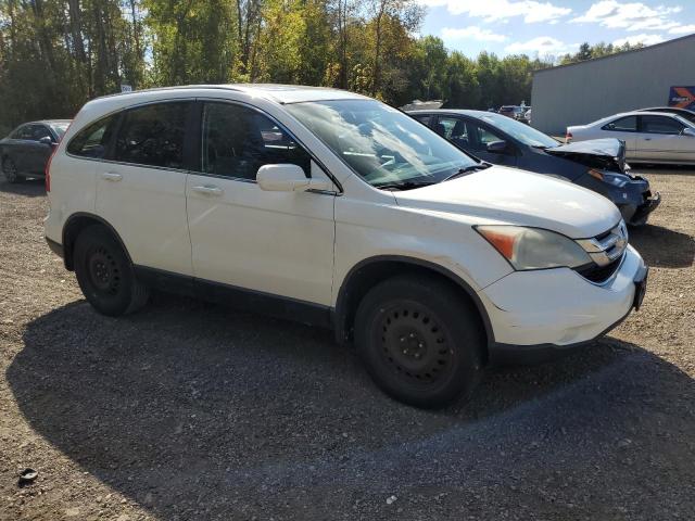 5J6RE4H55AL807494 - 2010 HONDA CR-V EX WHITE photo 4