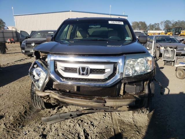 5FNYF38579B013636 - 2009 HONDA PILOT EXL GOLD photo 5