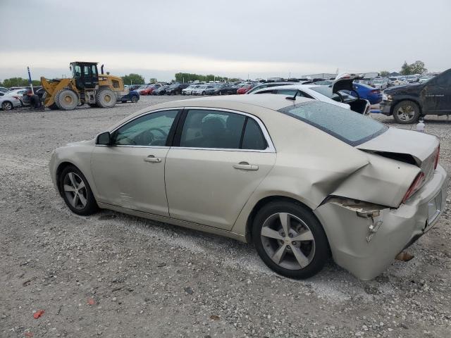 1G1ZC5E11BF213836 - 2011 CHEVROLET MALIBU 1LT BEIGE photo 2