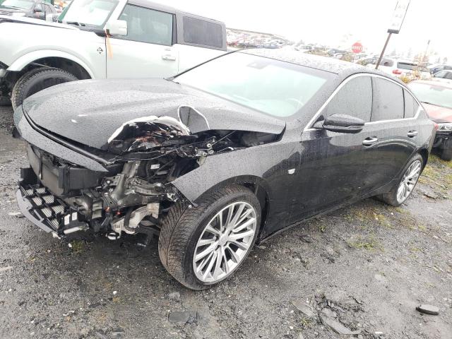 1G6DT5RWXM0113735 - 2021 CADILLAC CT5 PREMIUM LUXURY BLACK photo 1