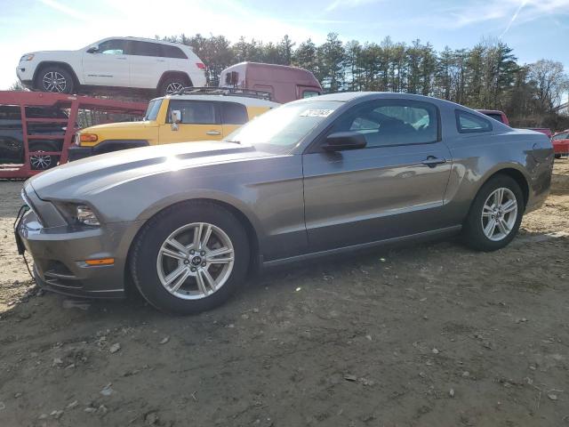 1ZVBP8AM8E5251523 - 2014 FORD MUSTANG GRAY photo 1