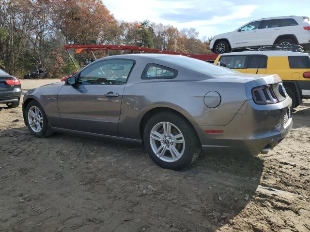 1ZVBP8AM8E5251523 - 2014 FORD MUSTANG GRAY photo 2