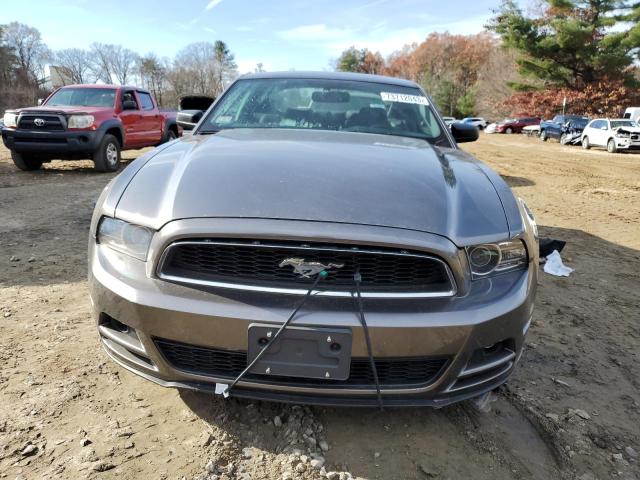 1ZVBP8AM8E5251523 - 2014 FORD MUSTANG GRAY photo 5