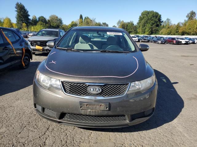 KNAFU4A20A5174996 - 2010 KIA FORTE EX GRAY photo 5