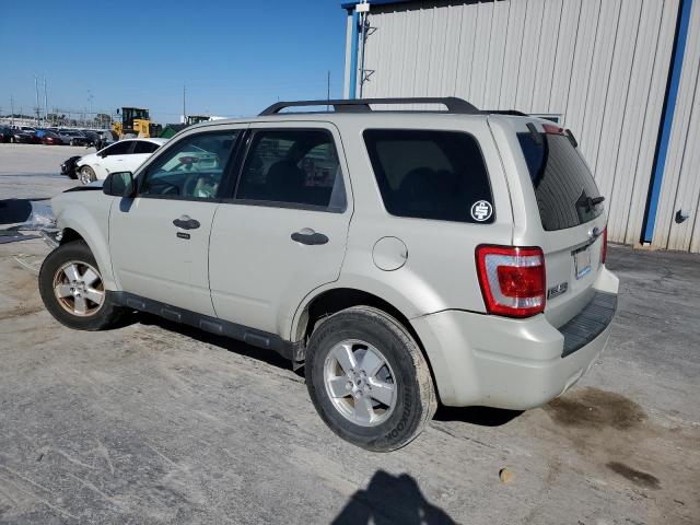 1FMCU03G69KA02925 - 2009 FORD ESCAPE XLT TAN photo 2