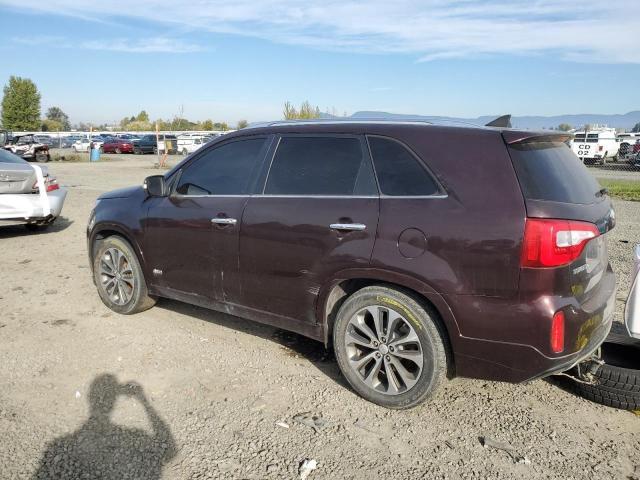 5XYKWDA77EG441300 - 2014 KIA SORENTO SX MAROON photo 2