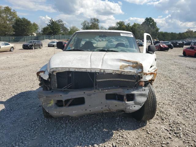 1B7HC16X01S659500 - 2001 DODGE RAM 1500 WHITE photo 5