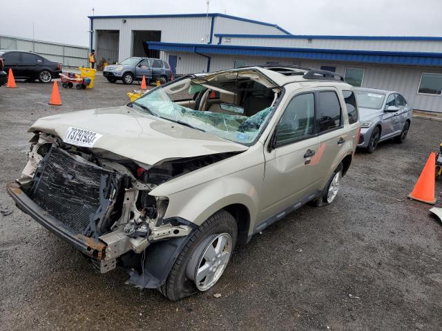 1FMCU9DG2CKA21577 - 2012 FORD ESCAPE XLT GOLD photo 1