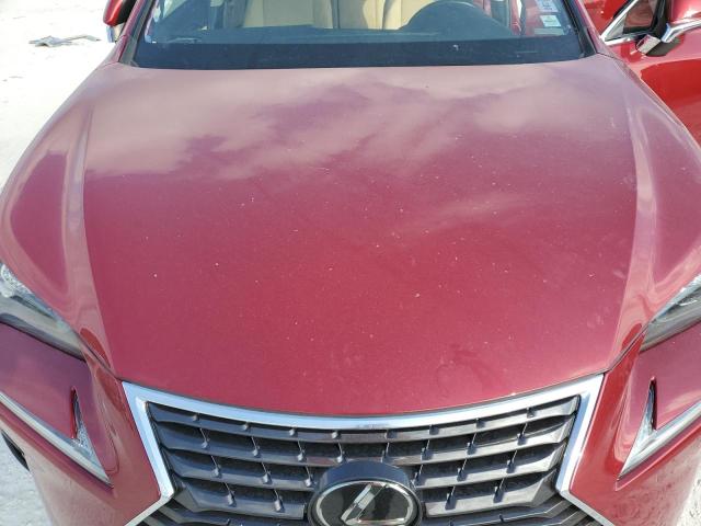 JTJYARBZ0K2137489 - 2019 LEXUS NX 300 BASE 红色 照片 12