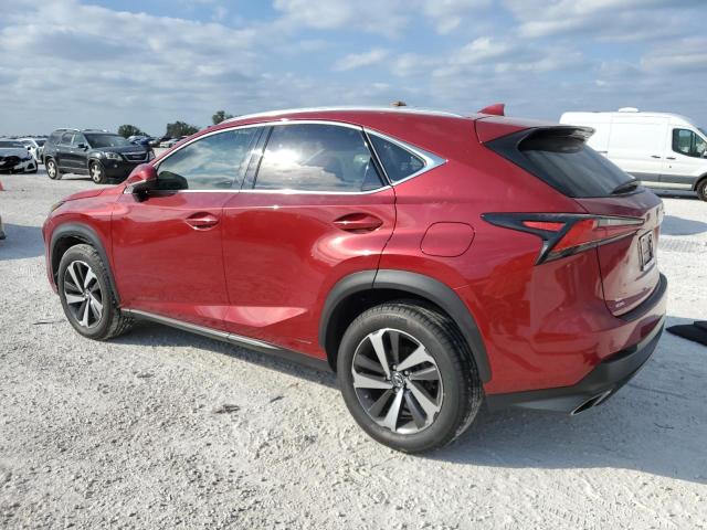 JTJYARBZ0K2137489 - 2019 LEXUS NX 300 BASE 红色 照片 2