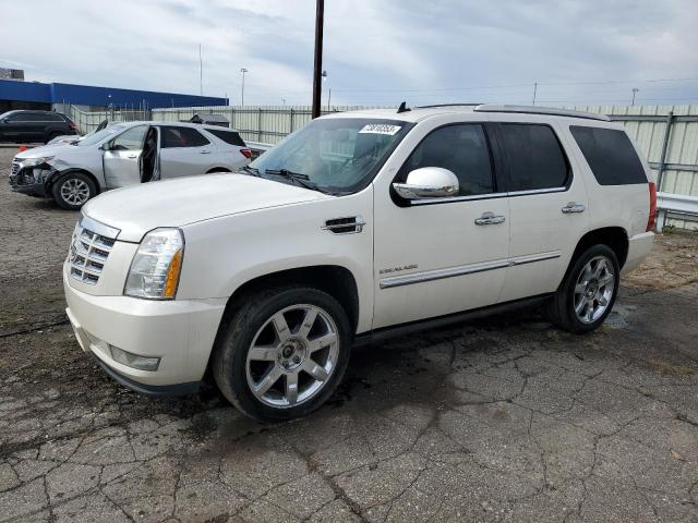 1GYS4CEF7BR145993 - 2011 CADILLAC ESCALADE PREMIUM WHITE photo 1