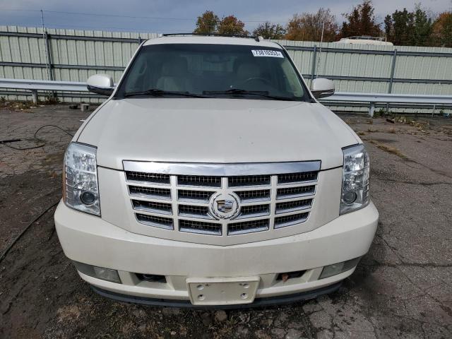 1GYS4CEF7BR145993 - 2011 CADILLAC ESCALADE PREMIUM WHITE photo 5