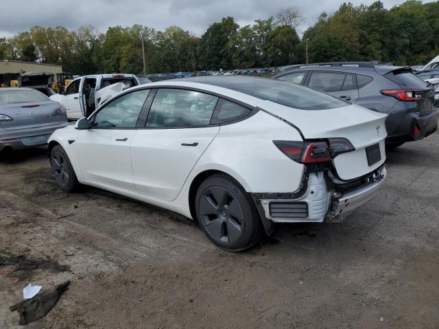 5YJ3E1EAXMF096166 - 2021 TESLA MODEL 3 WHITE photo 2