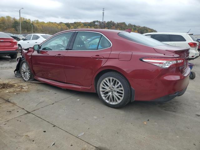 4T1B11HK8KU255486 - 2019 TOYOTA CAMRY L RED photo 2